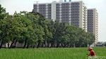 Lahan Sawah Semakin Menyusut di Jakarta