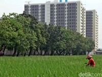 Jokowi Kesal Ekspor dan Investasi RI Loyo