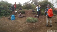 Di Pos Bayangan ini bisa melihat jelas tebing curam yang dihantam pesawat Sukhoi beberapa tahun silam. Lantaran beratnya medan, banyak pendaki yang memilih mendirikan tenda di sepanjang jalur ini, sembari menunggu fajar untuk berburu sunrise di Puncak Manik, Gunung Salak (Muhammad Idris/detikTravel)