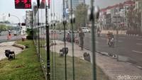 Sesekali hanya beberapa pengguna jalan yang lewat.