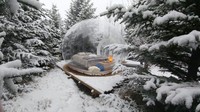 Dijuluki The 5 Million Star Hotel, Buubble terletak di tengah hutan Islandia. Kala siang, keindahan hutan dan suasana yang tenang bikin traveler rilek, sementara kala malam, bintang-bintang di langit akan terlihat dari tempat tidur (Buubble)