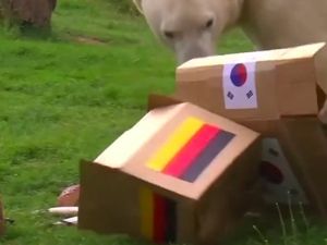 Korsel Vs Jerman Cukup Seri Saja