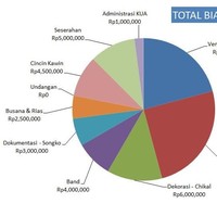 Total biaya pernikahan dan bulan madu menghabiskan Rp 60 juta. Angka ini cukup menggiurkan millenials di media sosial yang ikut terinspirasi untuk menghelat pernikahan minimalis. Foto: dok. Julia Jasmine