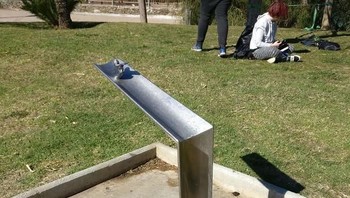 Tempat minum yang ada penampung air di bawahnya untuk binatang peliharaan. Foto: boredpanda