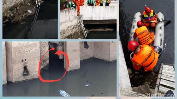 Dicari, Buaya Kali Grogol Ngumpet di Bawah Jembatan