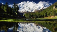 Efek adanya visa on arrival adalah pemesanan travelong ke Pakistan naik 100% di tahun ini. Hal itu diakui Wild Frontiers, operator tur berbasis di Inggris dan AS (CNN Travel)