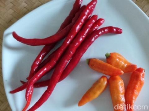 sambal terasi
