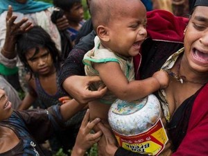 Australia Didesak Putuskan Hubungan dengan Militer Myanmar Soal Rohingya