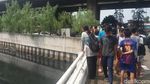 Hiii..Ini Penampakan Buaya yang Bikin Geger di Kali Grogol Jakbar