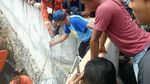 Hiii..Ini Penampakan Buaya yang Bikin Geger di Kali Grogol Jakbar