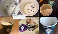 Es Krim Sehat Ini Dikritik Habis Karena Isinya Hanya Setengah
