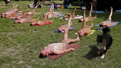 Ada-ada saja olahraga yang dilakukan kaum nudis di Prancis. Di siang bolong, mereka melakukan yoga bersama di sebuah taman tanpa mengenakan busana.