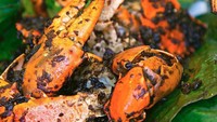 Kepiting yang dibungkus dengan daun pisang dan berbumbu hitam ini namanya Kepiting Bakar Asap! Sajian lezat ini milik kedai Seafood Arjuna, Jakarta. Foto: Instagram seafoodarjuna