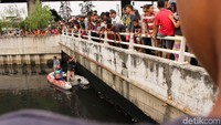 Kali ini petugas mencoba menggunakan jaring untuk menjebak buaya.