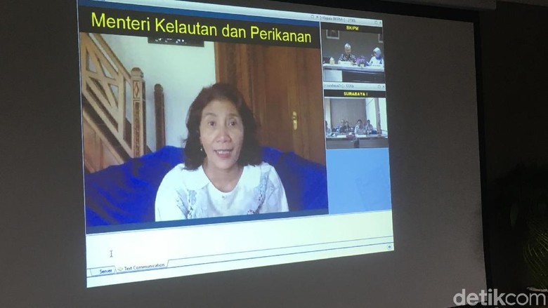 Susi Minta Pembudi Daya Ikan Arapaima Diproses Hukum Susi Minta Pembudi Daya Ikan Arapaima Diproses Hukum