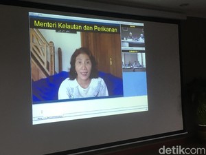 Susi Minta Pembudi Daya Ikan Arapaima Diproses Hukum