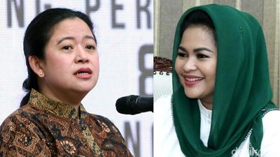 Foto: Antara Puan dan Puti yang Katanya Bikin Bingung