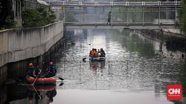 Waspada Buaya di Perairan Jakarta