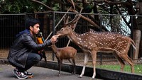 Begini saat Alshad merawat hewan-hewannya. Foto: Instagram Alshad Kautsar
