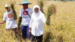 Khofifah Indar Parawansa Ternyata Doyan Ngopi dan Makanan Tradisional