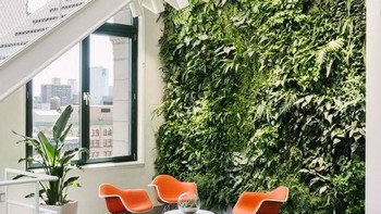 Terdapat dinding hijau yang berisikan tanaman asli. Foto: Instagram