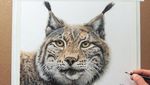 Keren! Seniman Ini Melukis Realis Hewan Seperti Asli