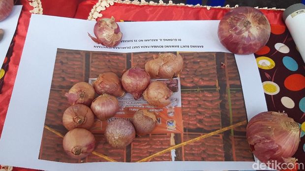 Membusuk, 70 Ton Bawang Merah 'Palsu' Sitaan Dimusnahkan