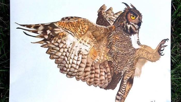 Keren Seniman Ini Melukis Realis Hewan Seperti Asli