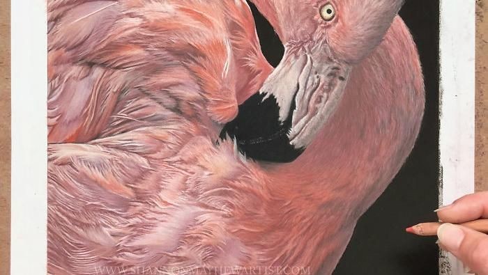 Keren Seniman Ini Melukis Realis Hewan Seperti Asli