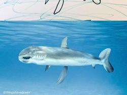 Ketika Gambar Anak Dibuat Nyata Ayahnya Pakai Photoshop