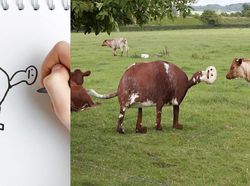 Ketika Gambar Anak Dibuat Nyata Ayahnya Pakai Photoshop