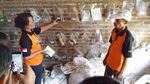 Liburan Sambil Belajar di Desa Wisata Pancoh, Sleman