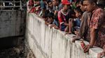 Buaya yang Bikin Heboh di Jakarta Ditangkap