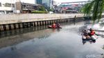 Begini Aksi Pasukan Biru Susuri Kali Grogol Berburu Buaya