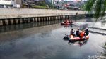 Ini Buaya 1 Meter yang Ditangkap di Roxy Jakarta