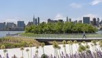 New York Bangun Taman Tepi Laut Rp 1,4 T, Begini Hasilnya