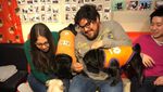 Di Kafe Ini, Pengunjung Bisa Makan Bareng 12 Anjing Pug