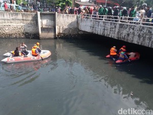 Buaya Kali Grogol Diduga Stres dan Ngumpet di Lumpur