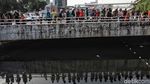Buaya yang Bikin Heboh di Jakarta Ditangkap