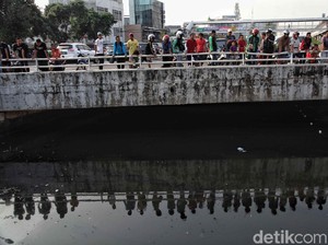 Ternyata, Ini Alasan Perburuan Buaya Kali Grogol Disetop Sementara