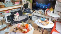 Ruangannya dibuat senyaman mungkin. Dengan beberapa sofa serta meja bundar tinggi disesuaikan dengan konsep living room.  Semua anjing di sini sudah akrab dengan manusia dan sangat ramah. Foto: SoraNews24