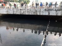 Warga menonton perburuan buaya di Kali Grogol