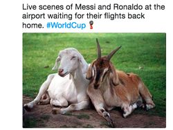 Meme Kocak dan Sedih Ronaldo dan Messi Tersisih
