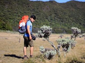 Gunung Gede Pangrango Resmi Dibuka 25 Agustus