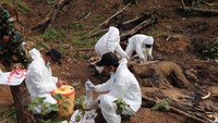 Bagian calingnya (sebutan gading pada gajah betina) diambil. Diperkirakan gajah tersebut telah mati lebih dari seminggu. Foto: dok. BKSDA Bengkulu