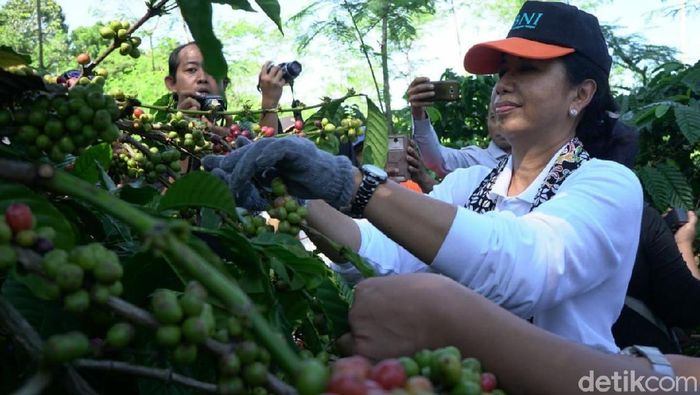 Foto: Yakub Mulyono Foto: Yakub Mulyono