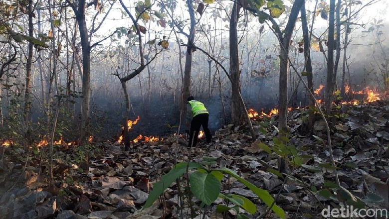 Perburuan Rusa Picu Hutan Arjuno Terbakar, Ini Upaya BPBD Pasuruan
