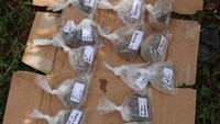 Penyebab pasti kematian masih dalam proses penyelidikan aparat gabungan dari Dirjen Gakkum-BKSDA Bengkulu-TN Kerinci Seblat-polsek Sungai Rumbai-Koramil Ipuh dan pihak Desa setempat. Hutan Produksi Air Teramang dan sekitarnya merupakan habitat populasi terakhir kelompok besar gajah liar di Bengkulu, ujar Kasubag TU BKSDA Bengkulu, Suharno kepada detikcom. 