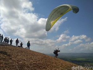 Keseruan Puluhan Atlet Paralayang Melayang di Langit Trenggalek