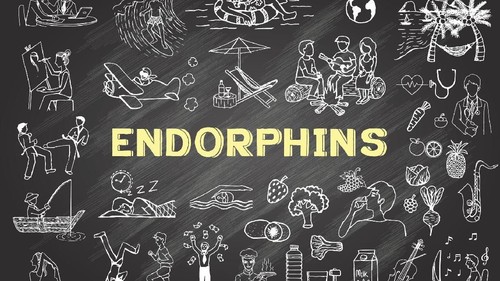 The text Endorphins surrounding by concerning hand drawn icons on chalkboard for illustration and banner - Stock Vector